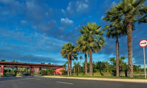 Apresentação do PowerPoint